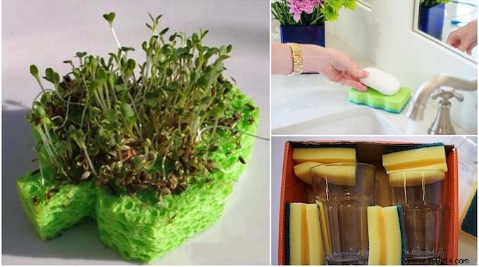 10 uses for sponges that NO ONE knows about. 