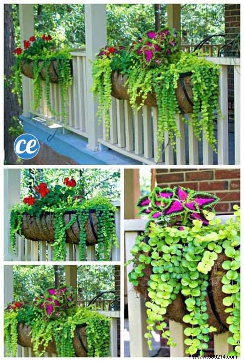 28 Great Ideas To Beautify Your Patio. 