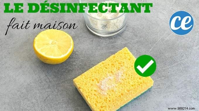 Super Effective And 100% Natural:The Homemade Disinfectant Ready In 1 Min. 