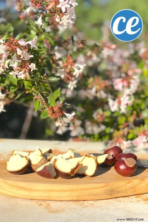 Here s How To Make Laundry With Chestnuts (Free And Easy To Do). 