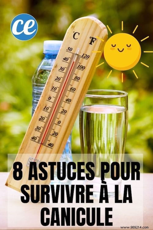 8 Simple and Effective Tips to Survive the Heatwave. 