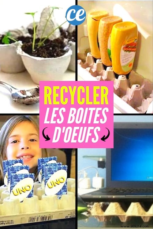 Don t Throw Away Your Egg Boxes! 26 Genius Ideas To Recycle Them. 