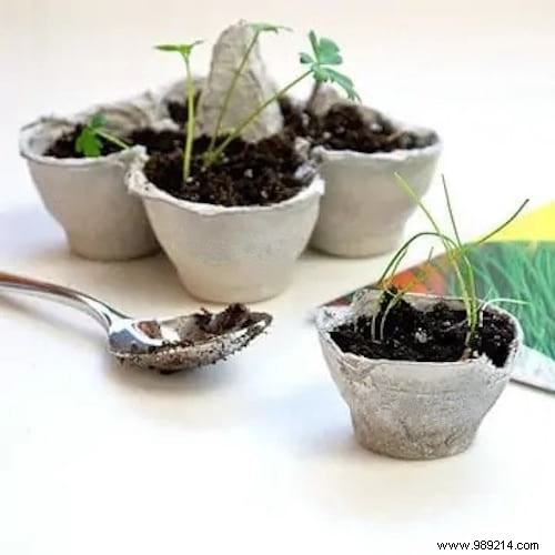 Don t Throw Away Your Egg Boxes! 26 Genius Ideas To Recycle Them. 