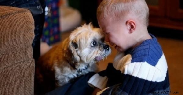 34 Photos That Show Why All Kids Should Grow Up With A Dog (Or Cat). 