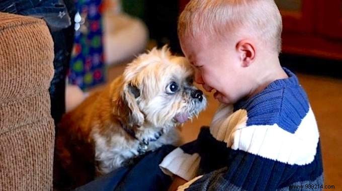 34 Photos That Show Why All Kids Should Grow Up With A Dog (Or Cat). 