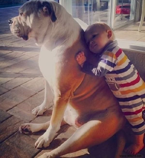 34 Photos That Show Why All Kids Should Grow Up With A Dog (Or Cat). 