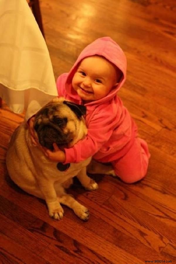 34 Photos That Show Why All Kids Should Grow Up With A Dog (Or Cat). 