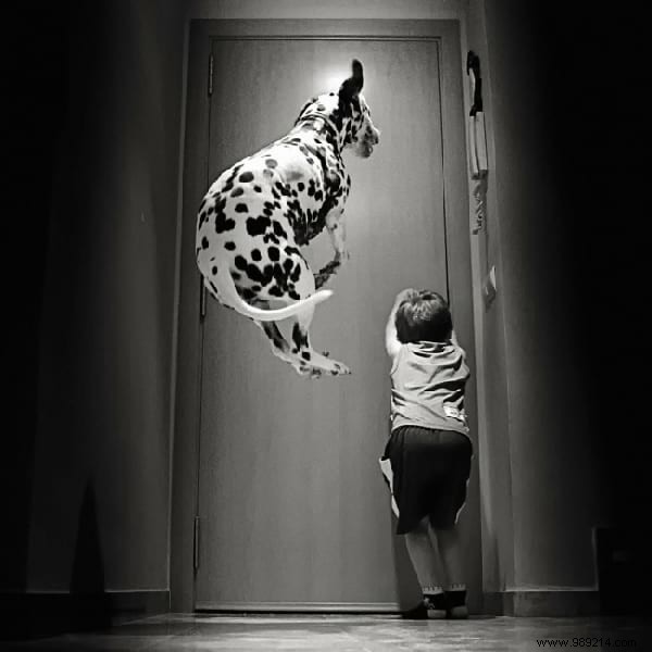 34 Photos That Show Why All Kids Should Grow Up With A Dog (Or Cat). 