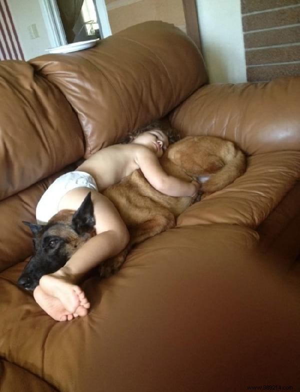 34 Photos That Show Why All Kids Should Grow Up With A Dog (Or Cat). 