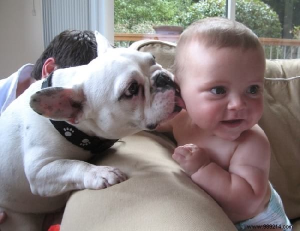 34 Photos That Show Why All Kids Should Grow Up With A Dog (Or Cat). 