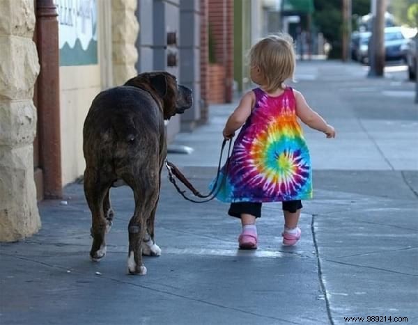 34 Photos That Show Why All Kids Should Grow Up With A Dog (Or Cat). 