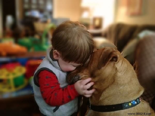 34 Photos That Show Why All Kids Should Grow Up With A Dog (Or Cat). 