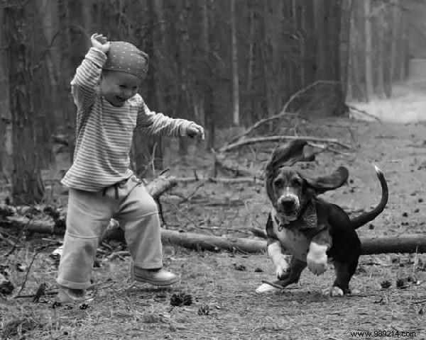 34 Photos That Show Why All Kids Should Grow Up With A Dog (Or Cat). 