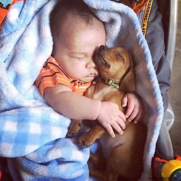 34 Photos That Show Why All Kids Should Grow Up With A Dog (Or Cat). 