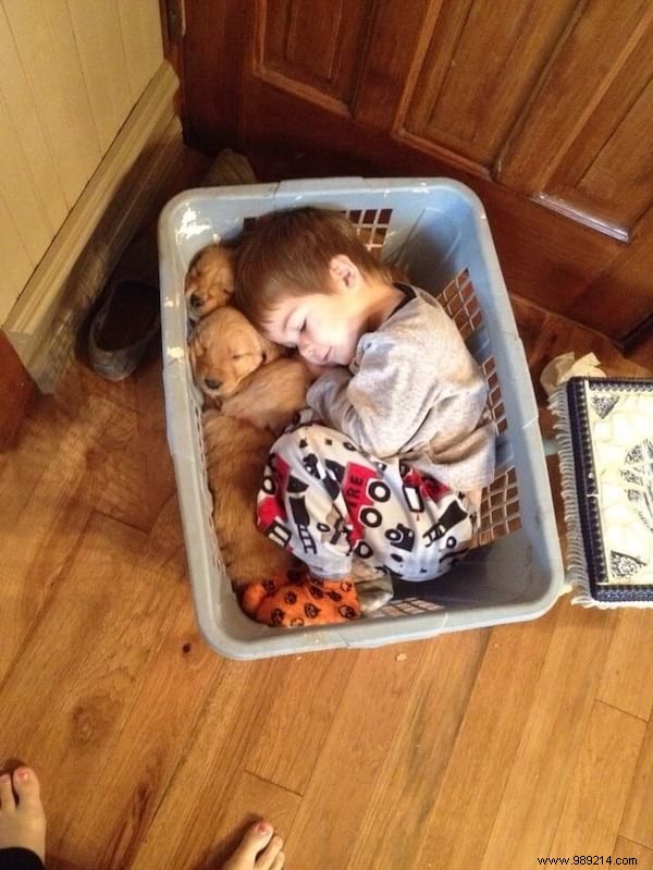 34 Photos That Show Why All Kids Should Grow Up With A Dog (Or Cat). 