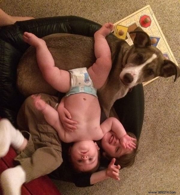 34 Photos That Show Why All Kids Should Grow Up With A Dog (Or Cat). 