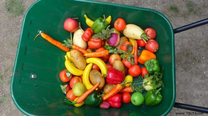 This Trick Allowed Me To Make My Children Eat Vegetables! 