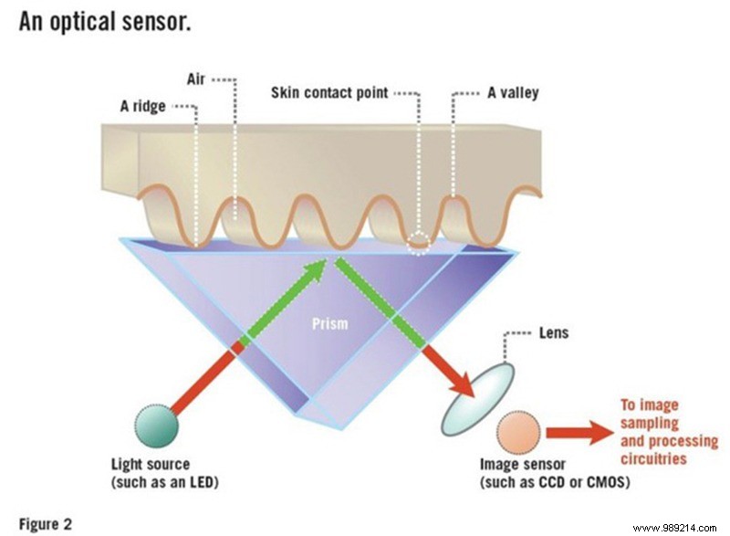 How do fingerprint scanners work? 