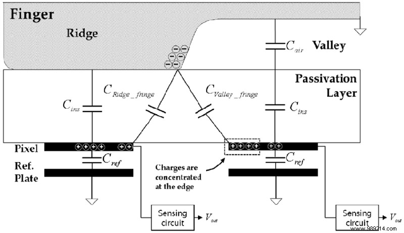 How do fingerprint scanners work? 