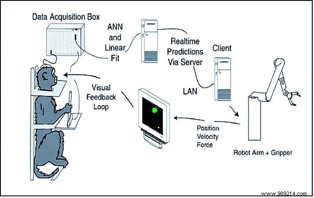 Brain-Computer Interfaces:What Are They and Why Do We Hear About Them Now? 