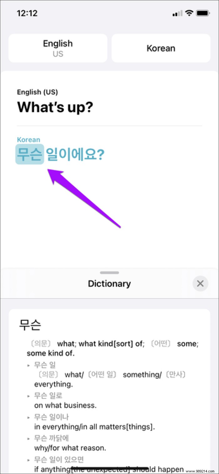 9 essential Apple Translate tips and tricks for iPhone users 