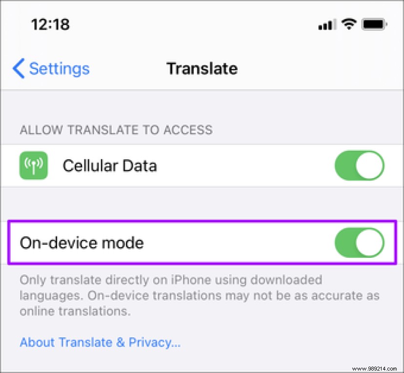 9 essential Apple Translate tips and tricks for iPhone users 