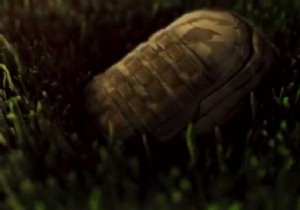 Battlegrounds Mobile India (PUBG Mobile India) Releases New Backpack Teaser 