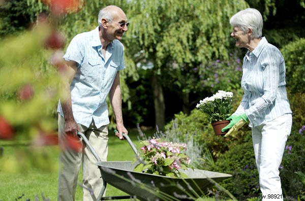 Smart business ideas for retired couples 