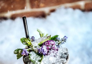 Recipe for a winter cocktail 