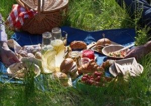 Tasty snacks for a picnic 