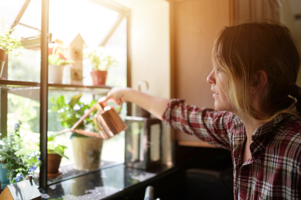 These are the 7 easiest fruits and vegetables to grow yourself 