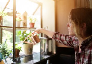 These are the 7 easiest fruits and vegetables to grow yourself 