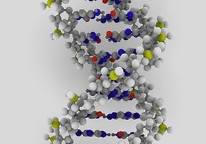 Smoking father bad for child s DNA 