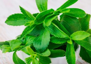 6 Things You Didn t Know About Stevia 