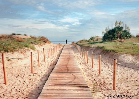 Do you live on the beach? Make use of it 