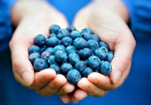 How do antioxidants work? 