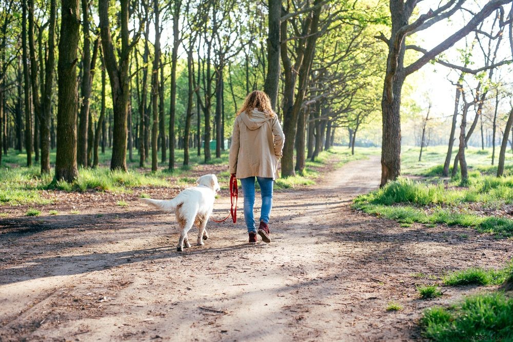 Out with a Neighbor Dog 