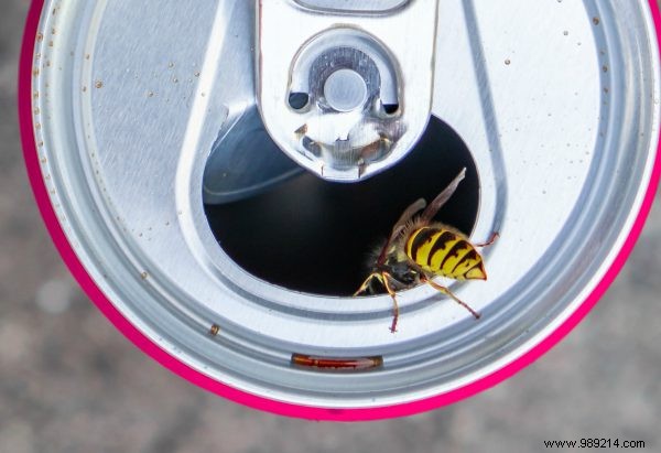 Ouch! A wasp sting:you can do this 