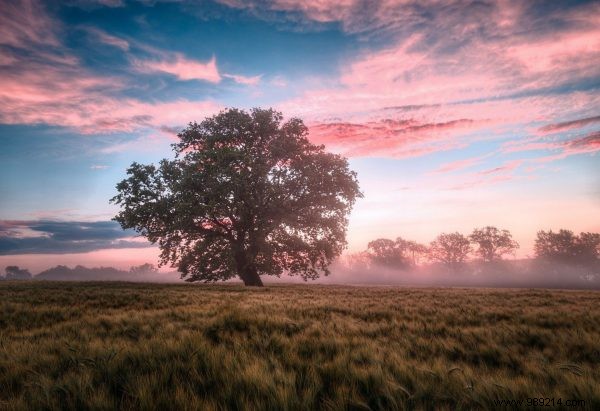 Why being outdoors is good for you 