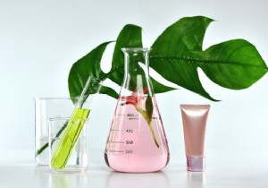 Natural cosmetics:what about that? 