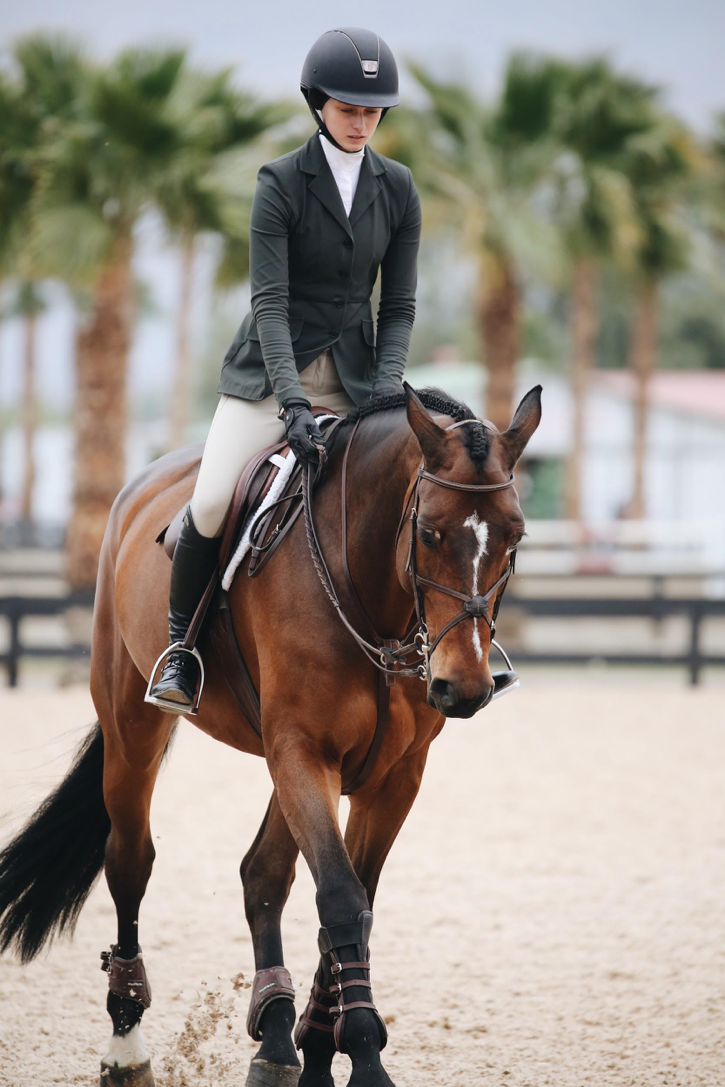 Starting horseback riding:you need this 