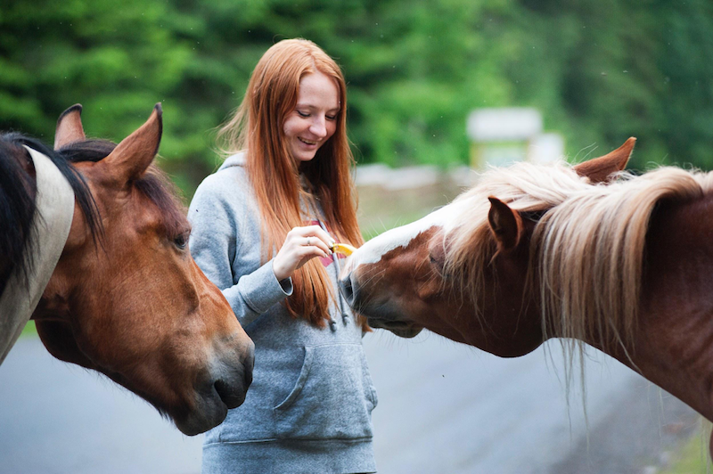 Starting horseback riding:you need this 