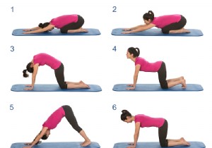 4 Effective Yoga Exercises For Back Pain 