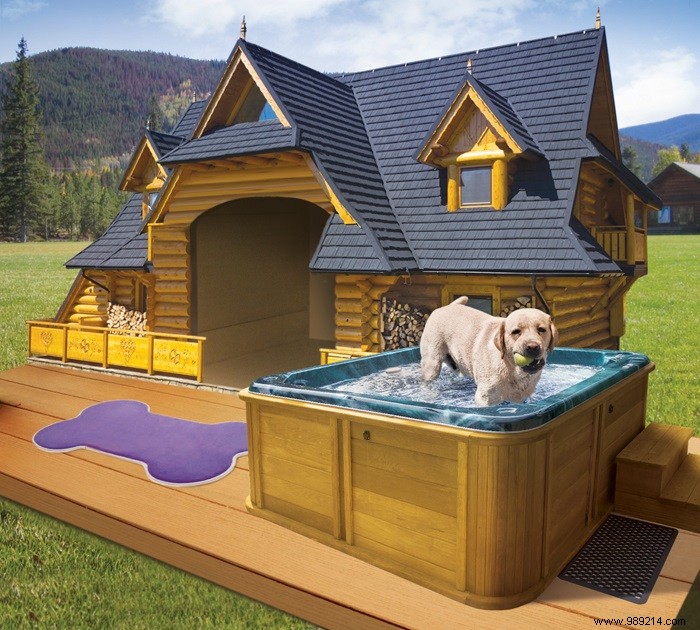 11 beautiful dog houses 