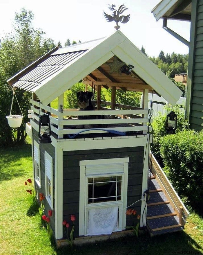 11 beautiful dog houses 