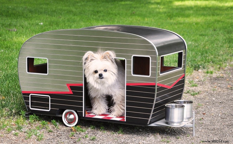 10 x cute campers for dogs 