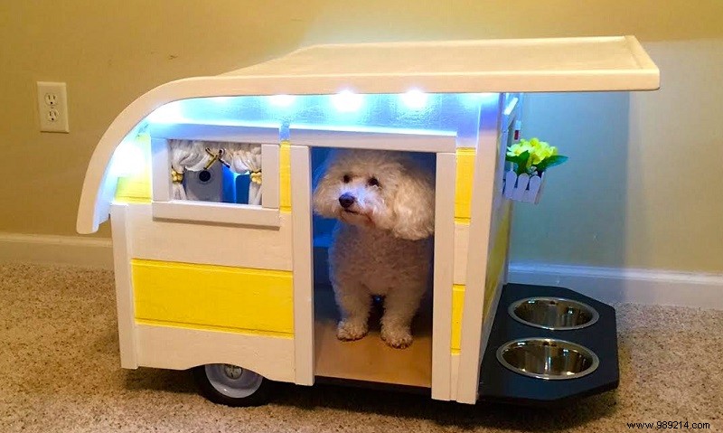 10 x cute campers for dogs 