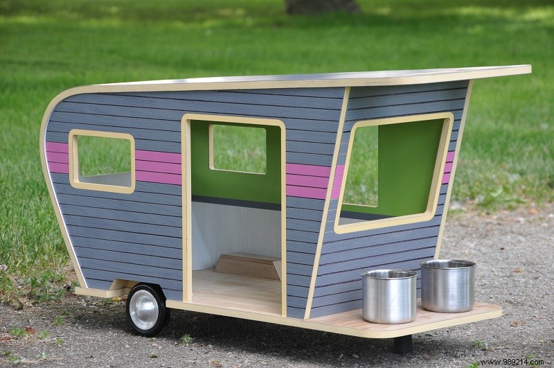 10 x cute campers for dogs 