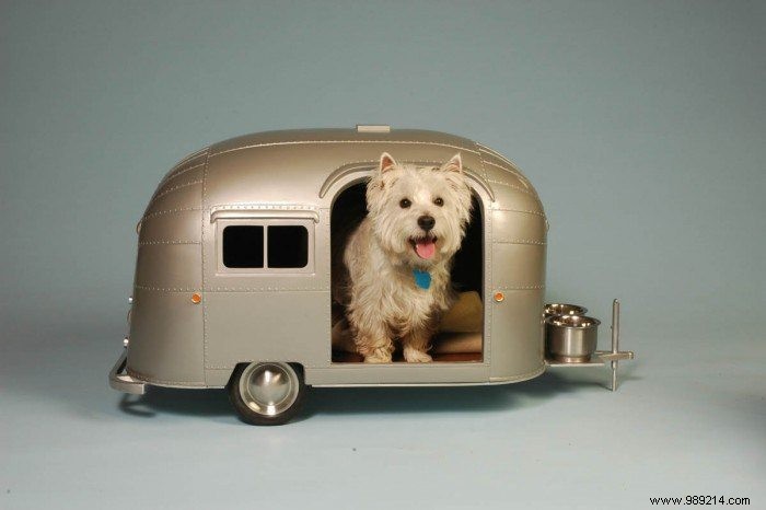 10 x cute campers for dogs 