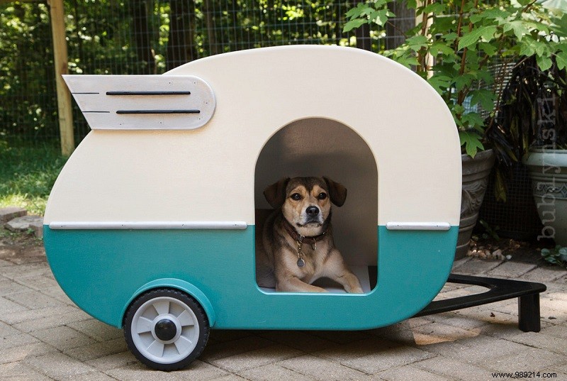 10 x cute campers for dogs 